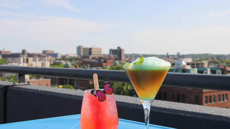two cocktails on a blue table two cocktails on a blue table