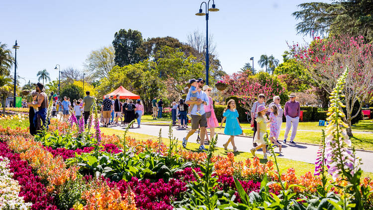 Toowoomba Carnival of Flowers Toowoomba Carnival of Flowers