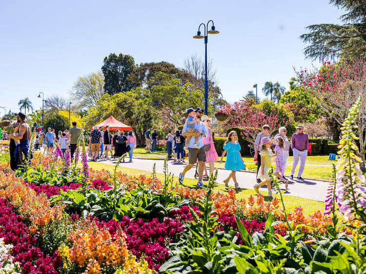 Toowoomba Carnival of Flowers Toowoomba Carnival of Flowers