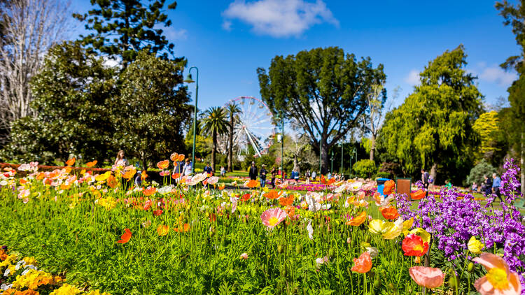 Flower beds in park