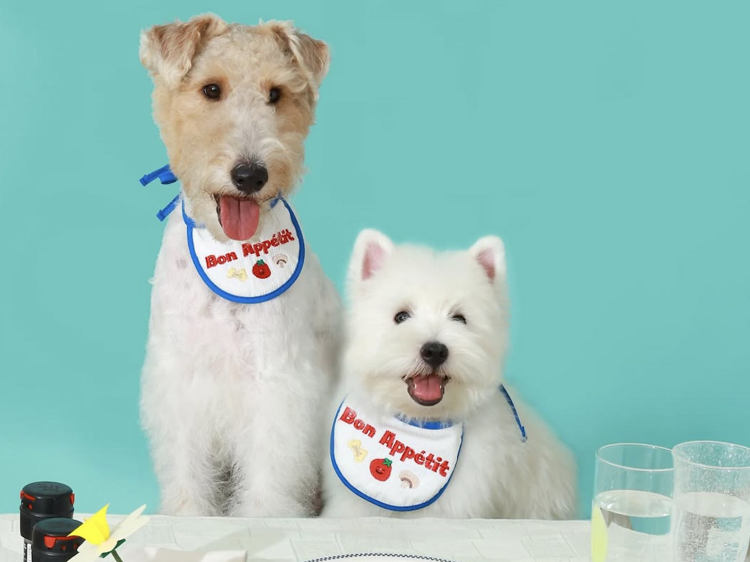 Doggu