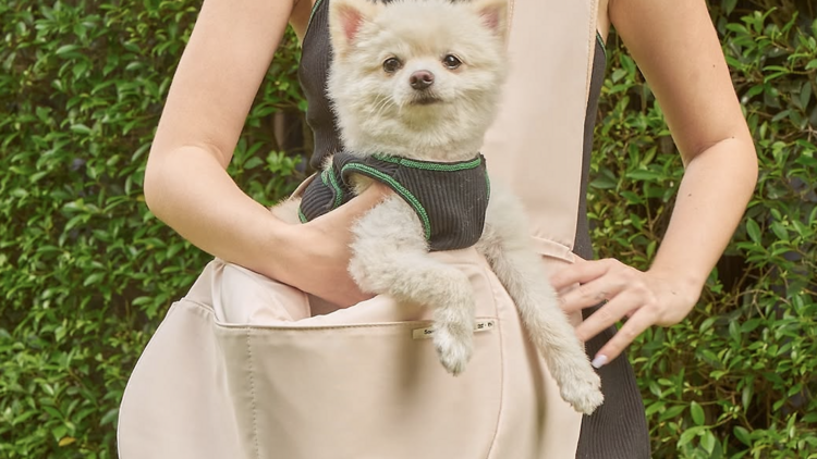 Pet Department
