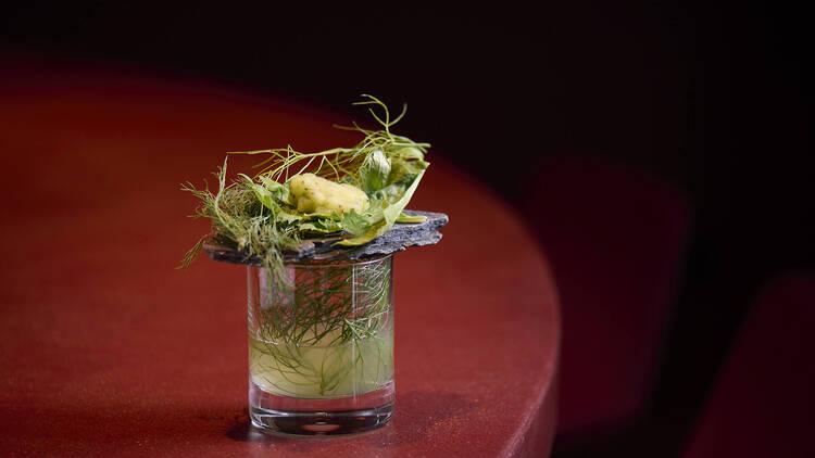 Tokyo: Sodden Frog Tokyo: Sodden Frog