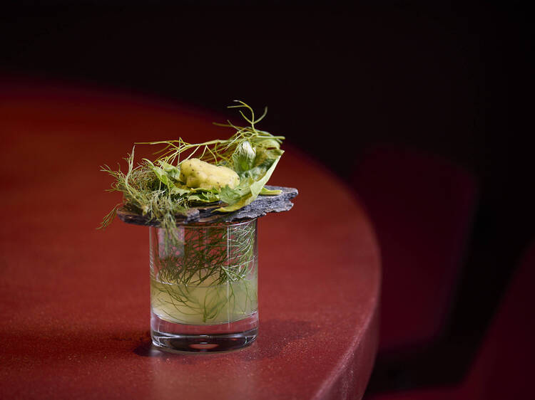 Tokyo: Sodden Frog Tokyo: Sodden Frog