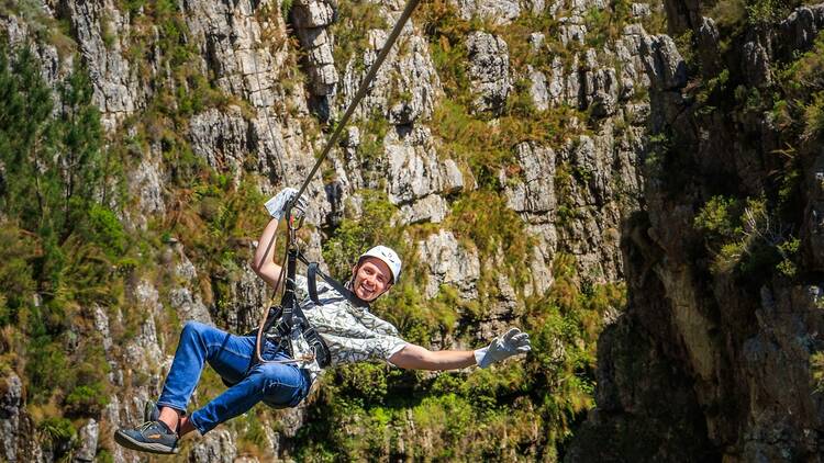 Cape Canopy Tour now offers daily transfers from Cape Town