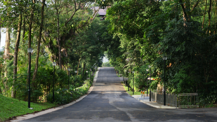 Old Punggol Road