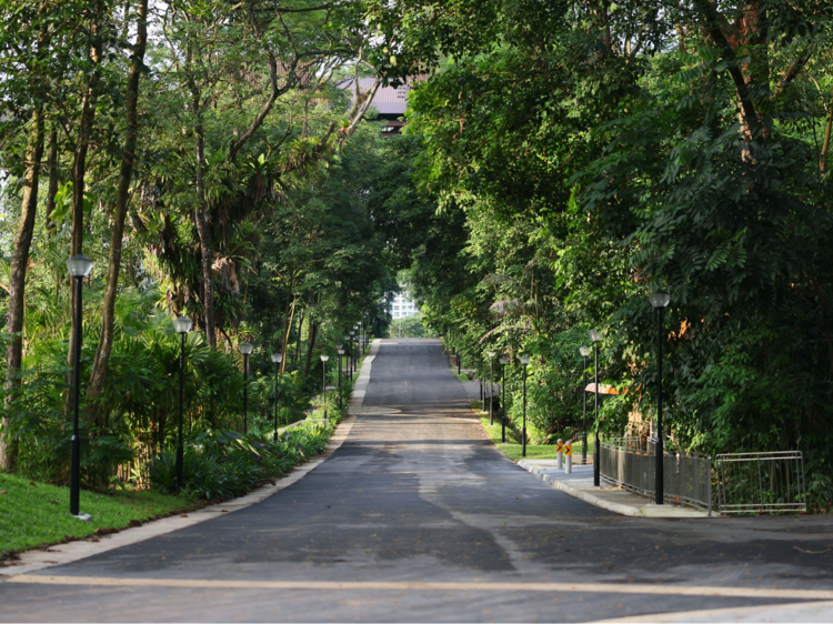The first stretch of the lush forested Punggol Heritage Trail is now open