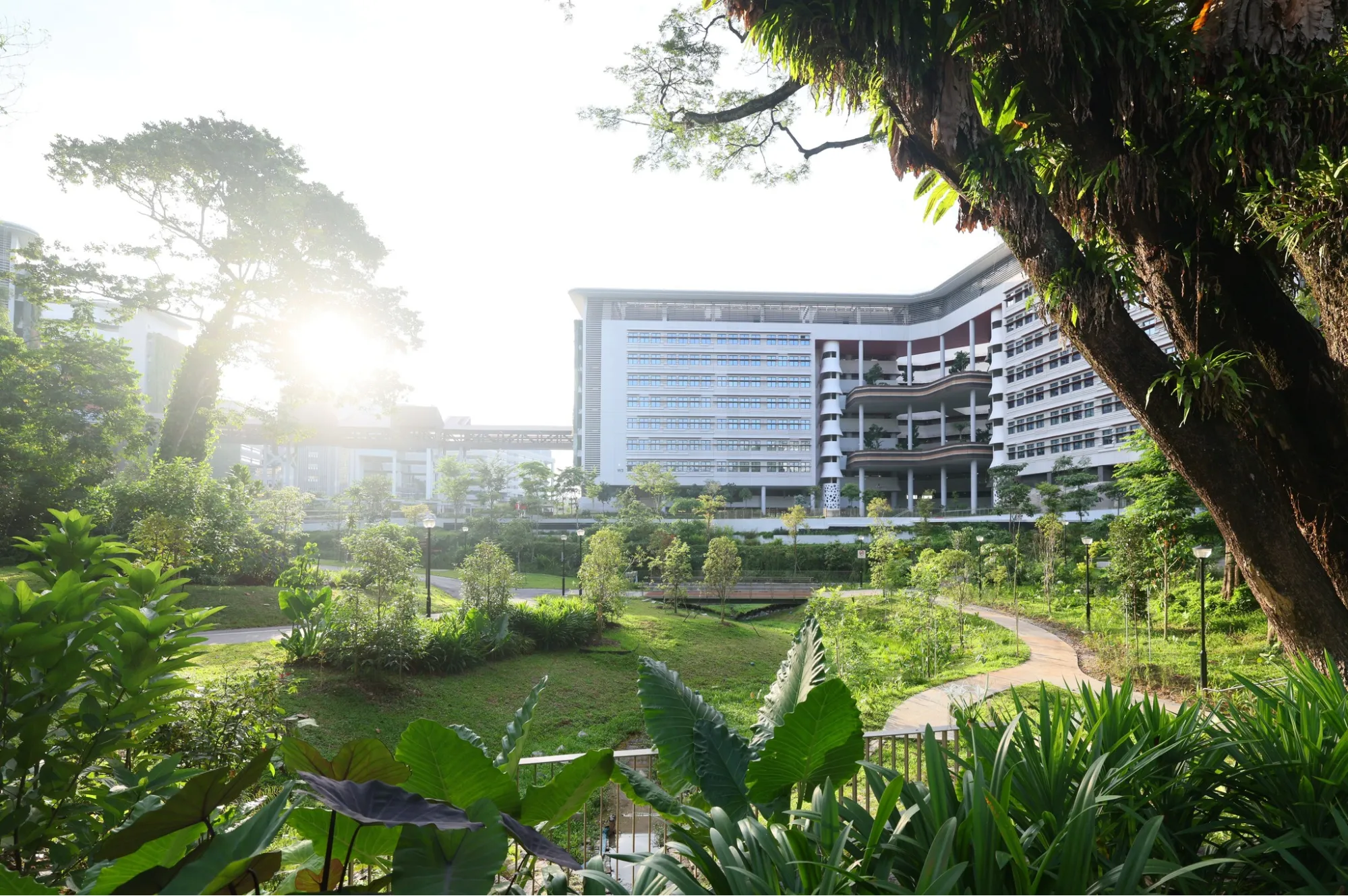 Old Punggol Road
