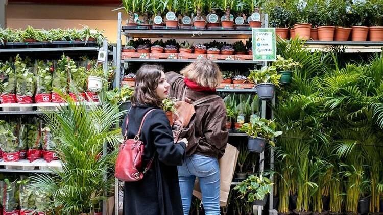 Plantes Pour Tous