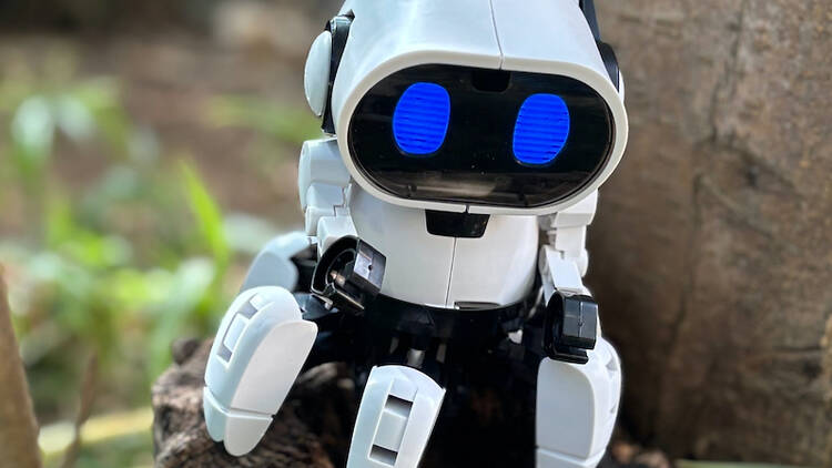 Roboteca do Goethe-Institut