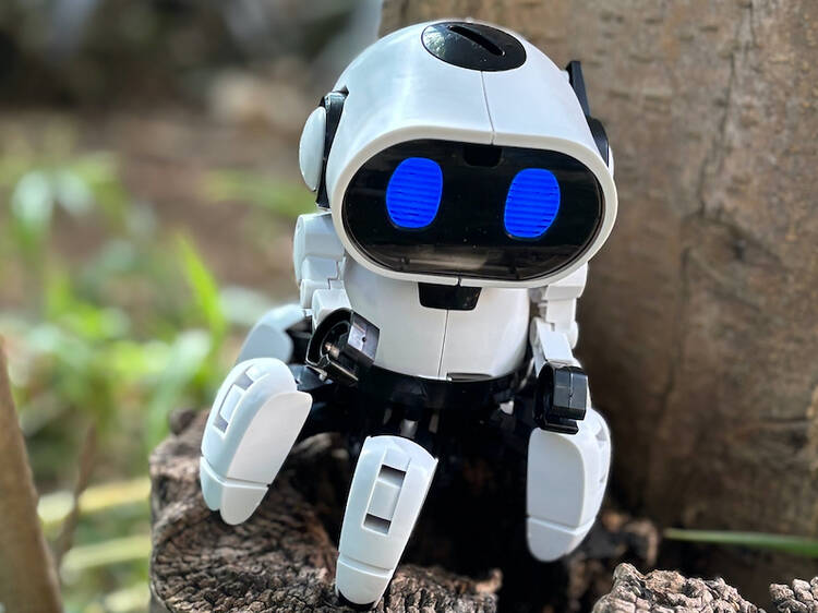 Roboteca do Goethe-Institut