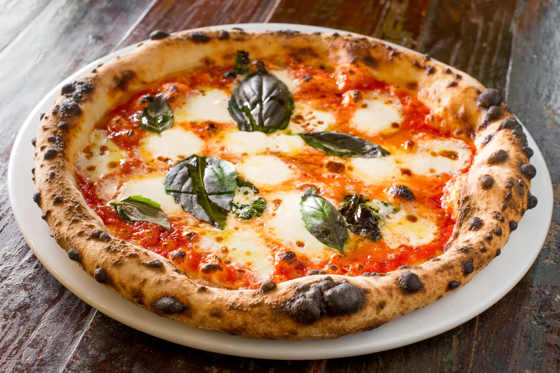 A margherita pizza