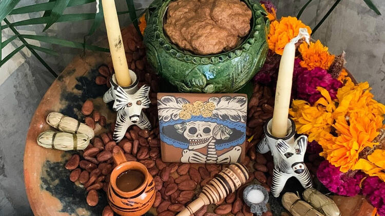 festival cacao para todos 2025 cdmx