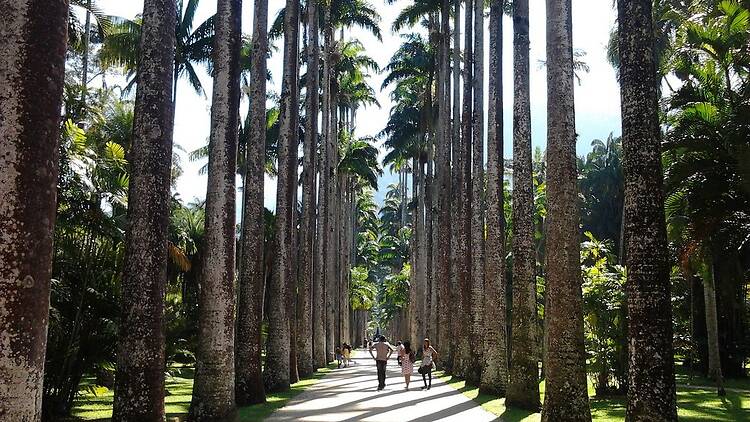Jardim Botânico: entrada gratuita para mulheres e concerto ao ar livre