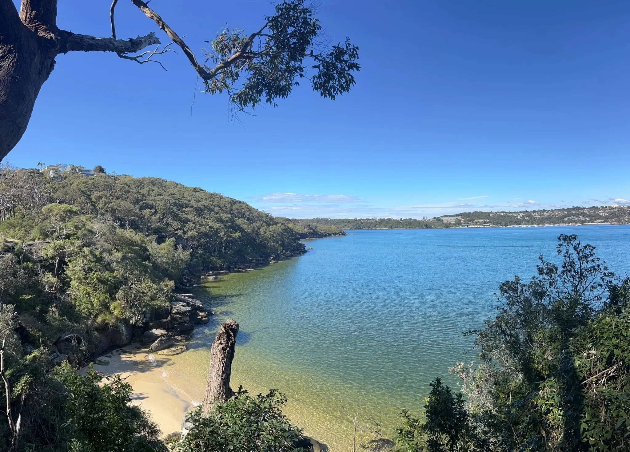 Manly to Spit Bridge