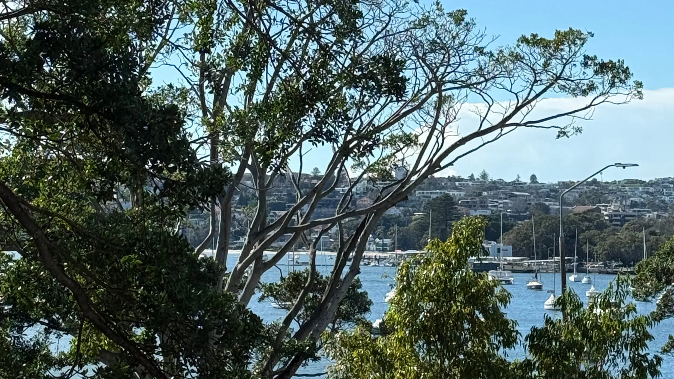 Views of the water in Rose Bay