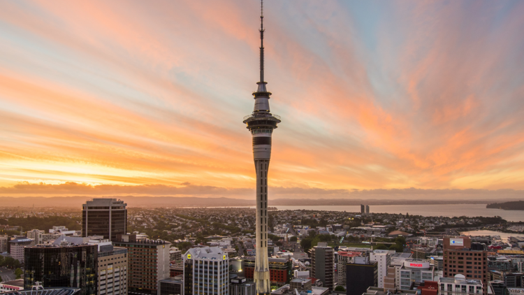 Take in 360-degree views from Sky Tower Take in 360-degree views from Sky Tower