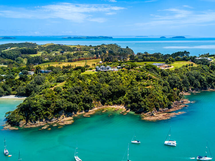 Take a day trip to Waiheke Island