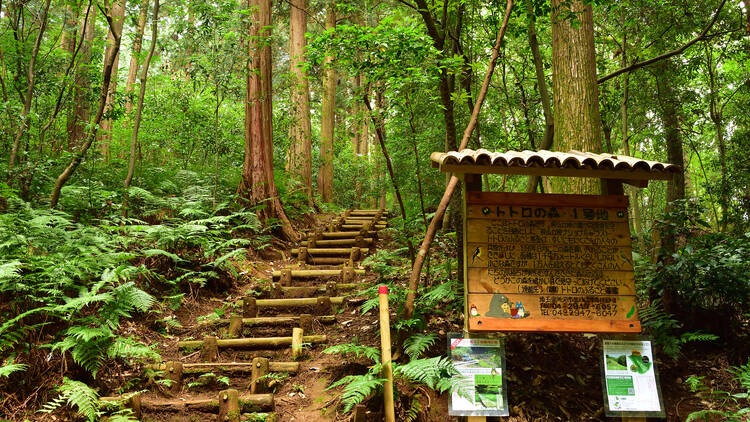 Sayama Hills