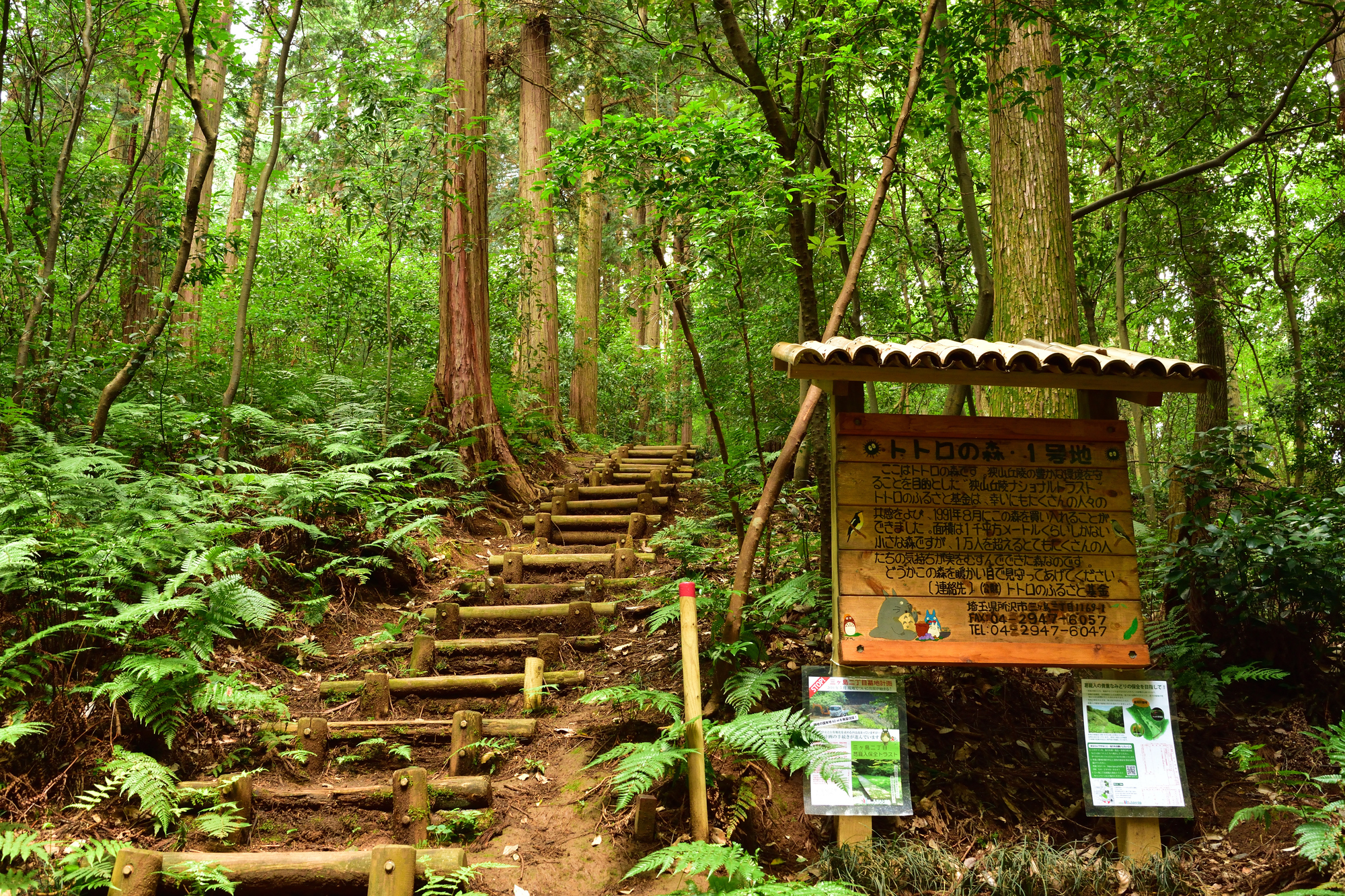 Sayama Hills | Attractions in Tokorozawa, Tokyo