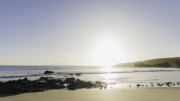 Spend the day in Tāwharanui Regional Park