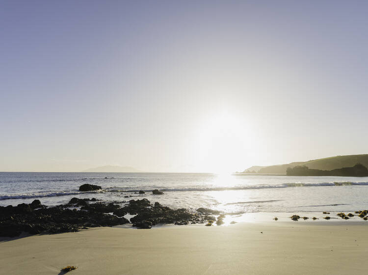 Spend the day in Tāwharanui Regional Park