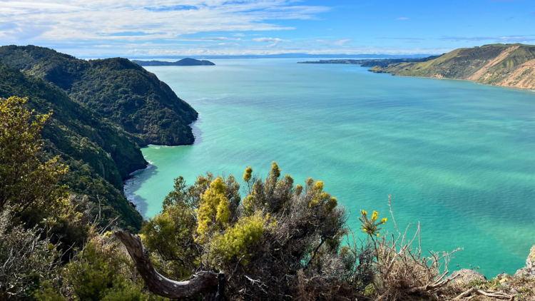 Ocean surrounded by grassy mountains