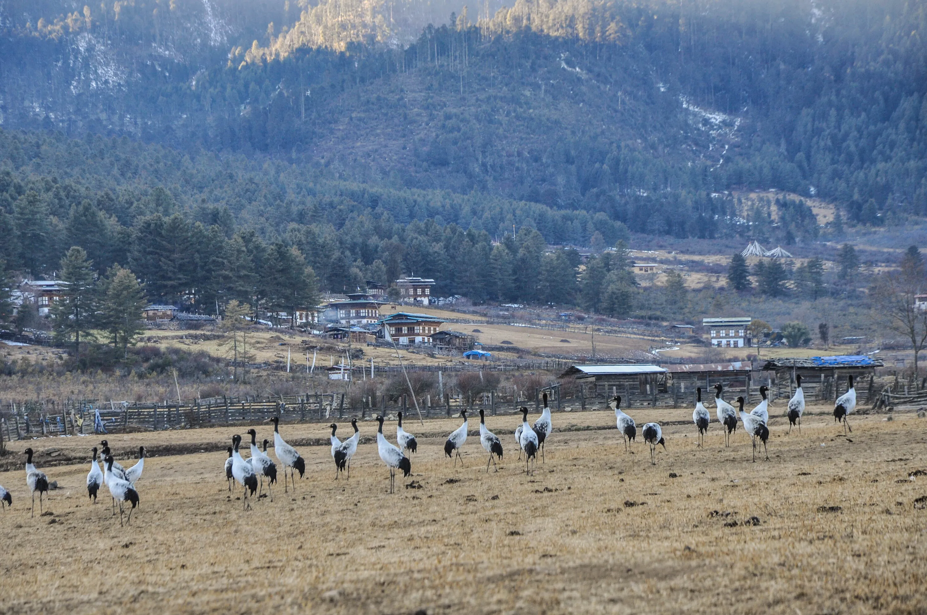 Gangtey Lodge, Bhutan