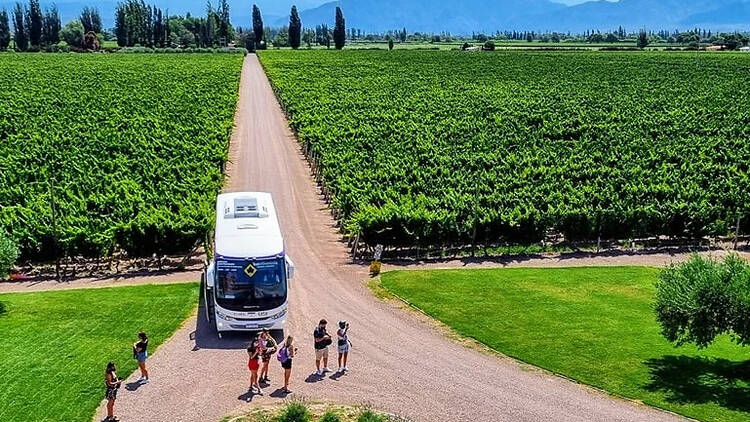 Bus Vitivinícola – Bodegas sin manejar, vino sin culpa
