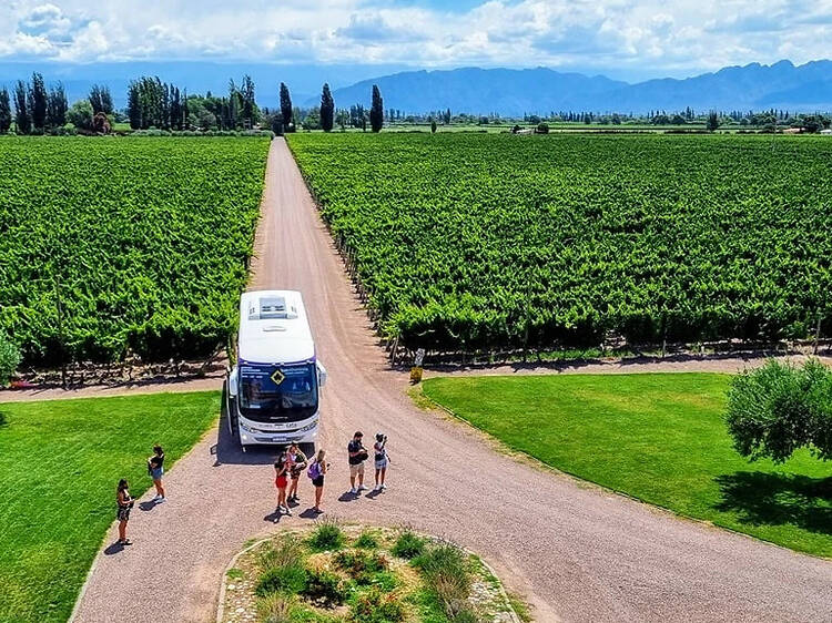 Bus Vitivinícola – Bodegas sin manejar, vino sin culpa