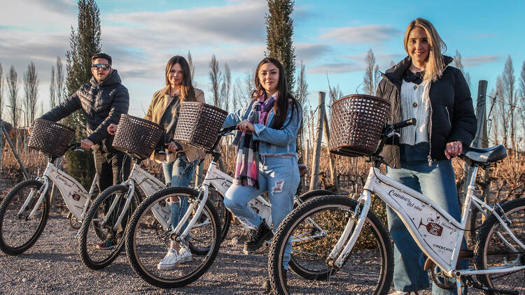 Wine and Ride – Vino, bici y aventura al sol