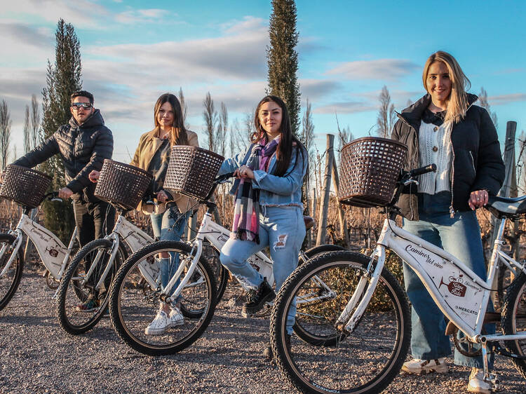 Wine and Ride – Vino, bici y aventura al sol