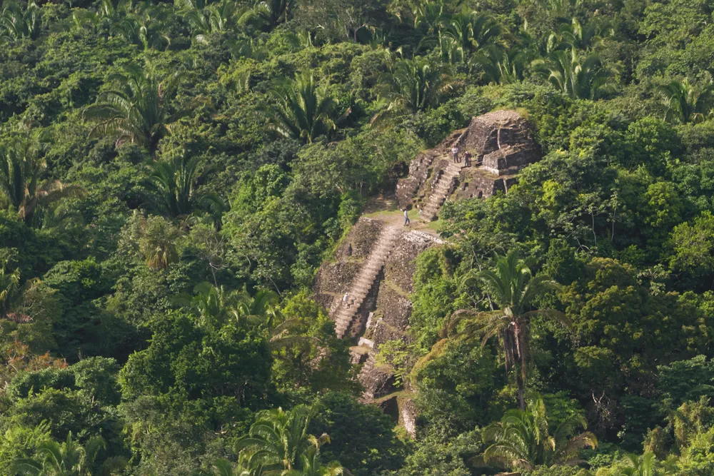 maya ruins in the tropical jungle of Belize