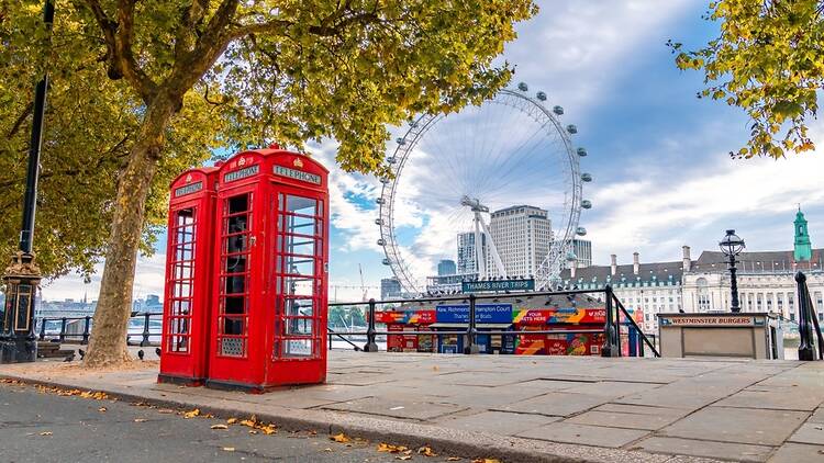London autumn leaves