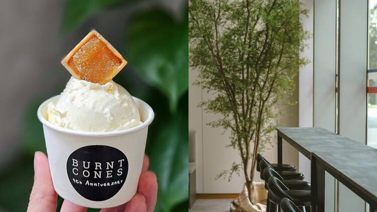 Burnt Cones Gelato