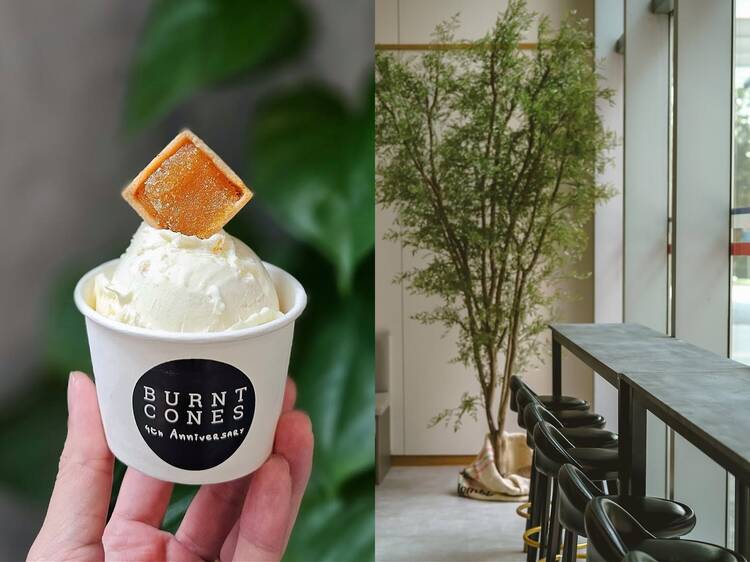 Burnt Cones Gelato
