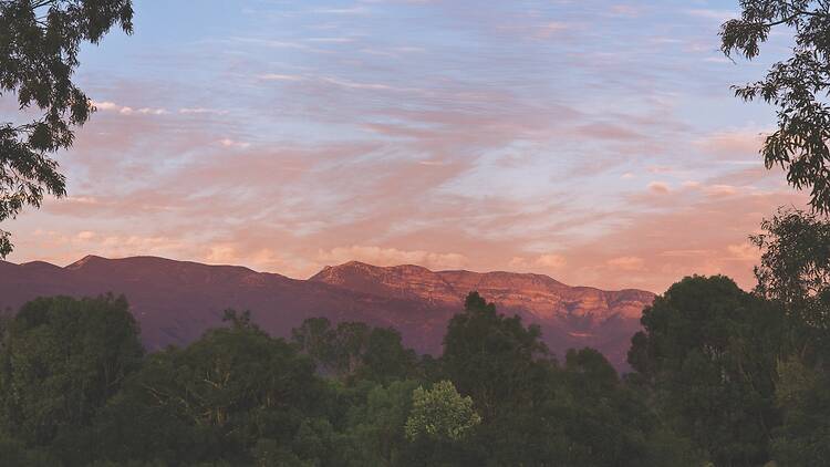 Ojai