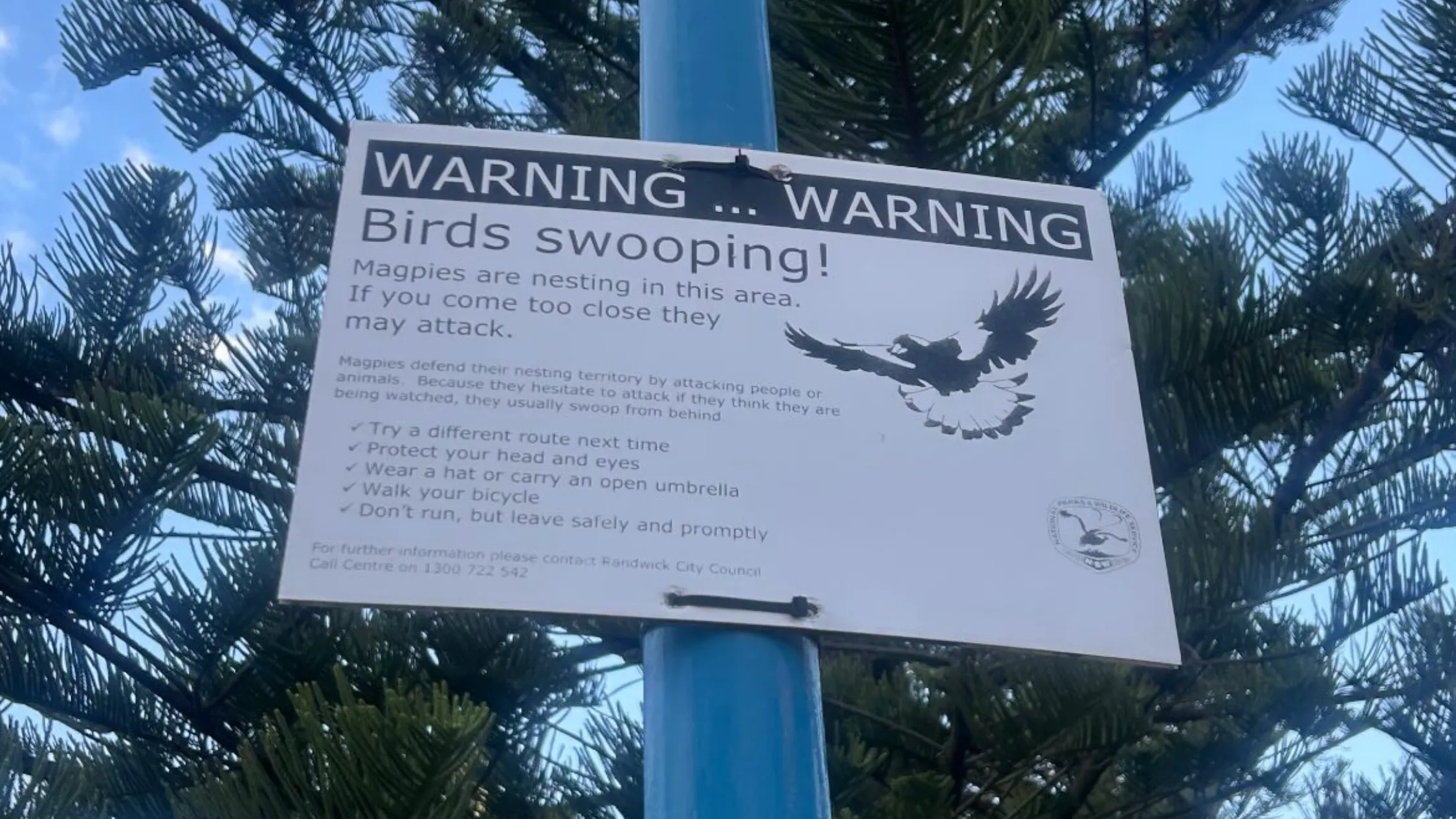 Birds swooping sign
