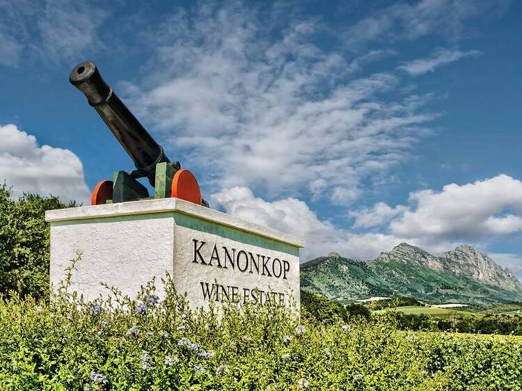 Kanonkop