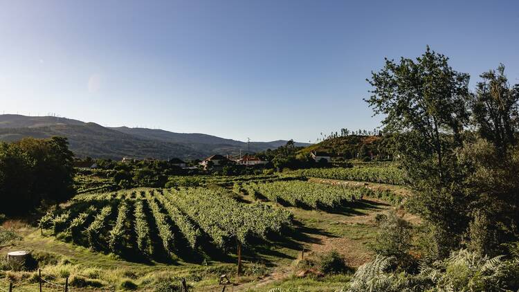Quintas de Melgaço