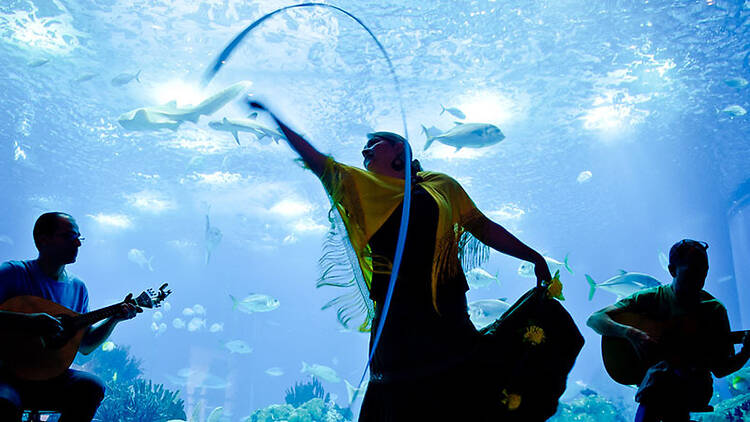 Fazer silêncio que se vai cantar o fado