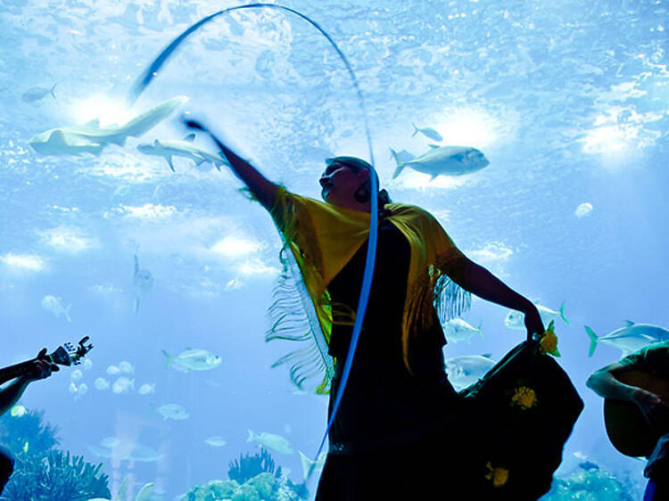 Fazer silêncio que se vai cantar o fado