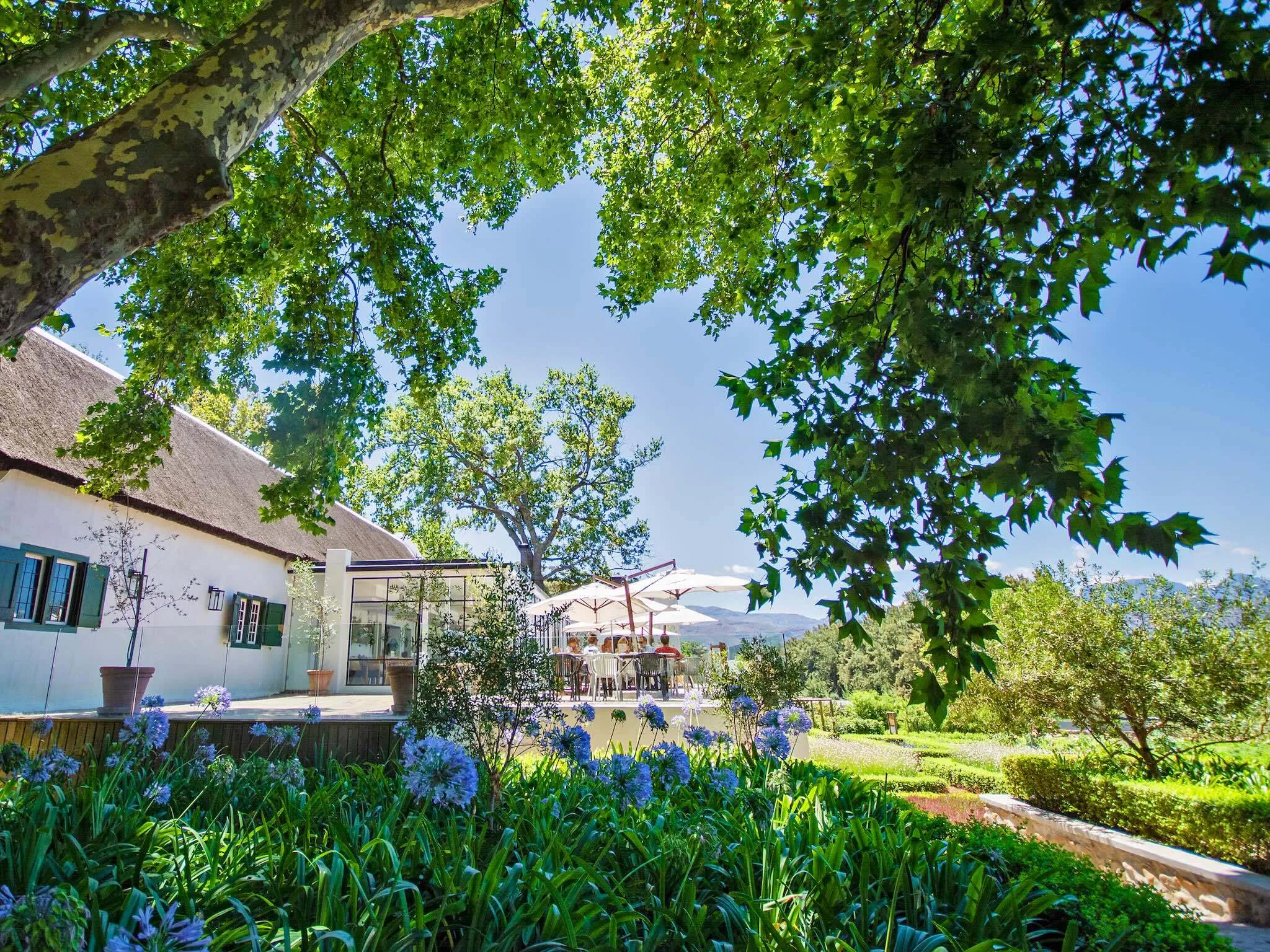 Boschendal The Werf