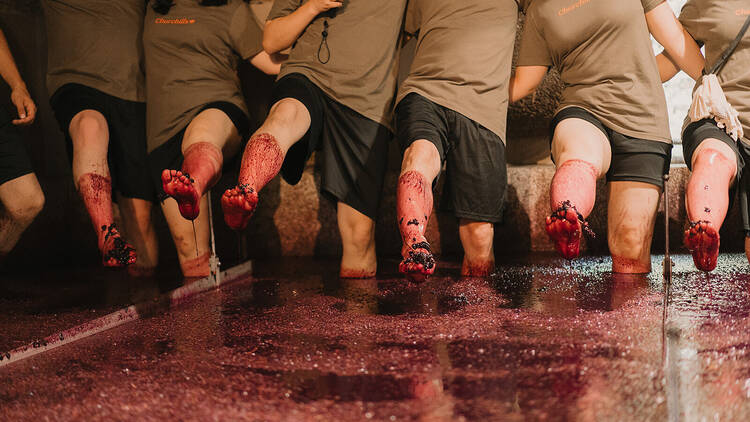 Quinta da Gricha Quinta da Gricha