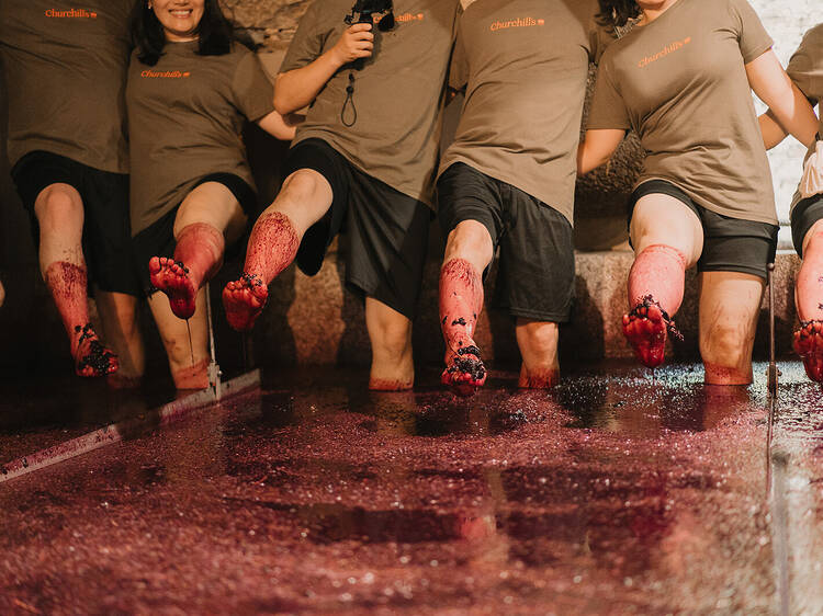 Quinta da Gricha Quinta da Gricha