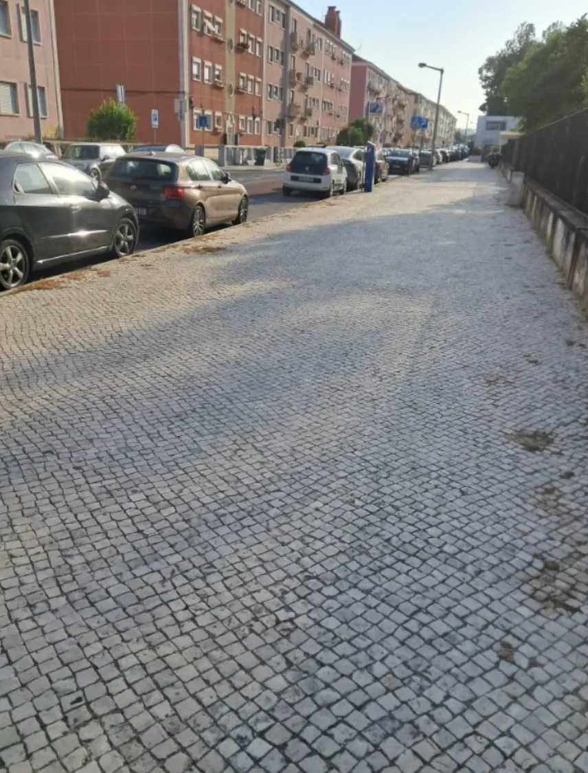 Rua Maria Amália Vaz de Carvalho, Alvalade