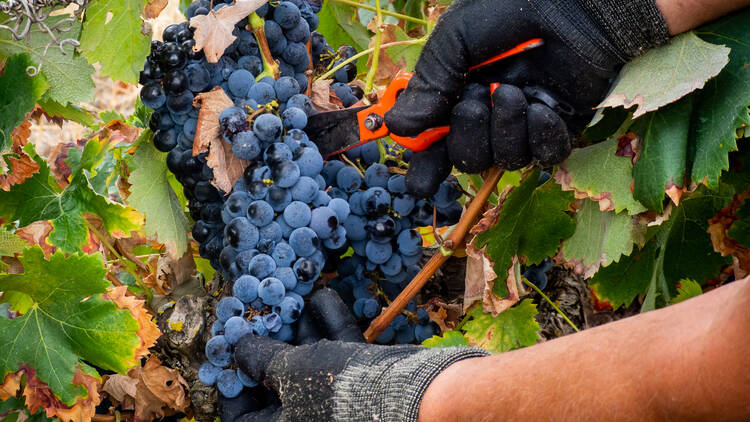 Quinta de São João Batista