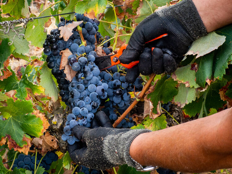 Quinta de São João Batista