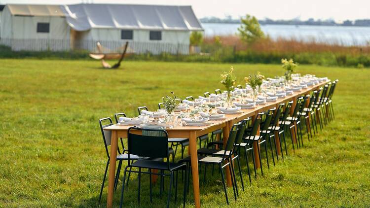 A long-table on the field at Collective Governors Island