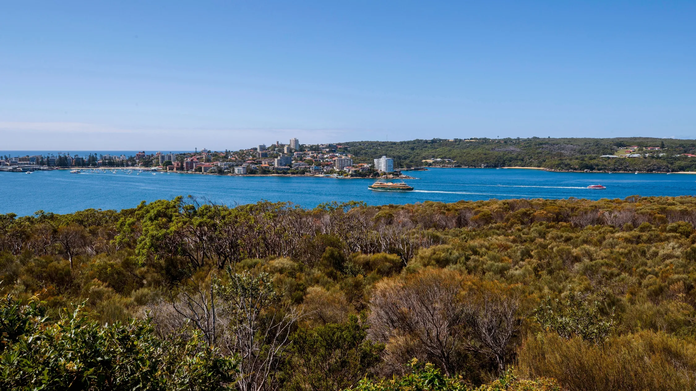 Spit to Manly walk